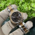 Brown-dial stainless steel watch